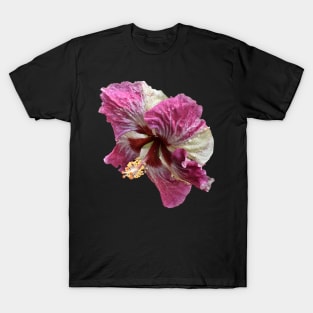 Portrait of a Hibiscus T-Shirt